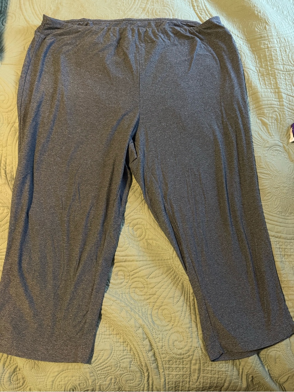 Terra & Sky Gray Capri Pants